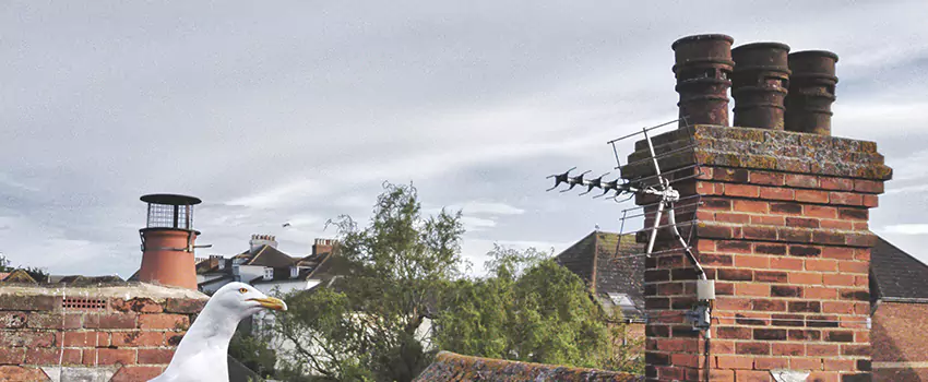 Chimney Cleaning And Restoration in Pascagoula, Mississippi
